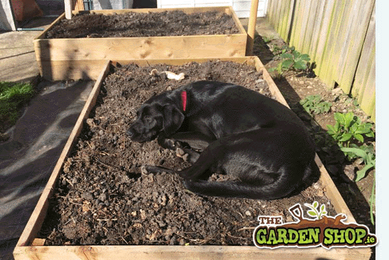 weekend gardener