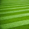 How to Sow a New Lawn from Grass Seed
