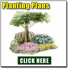 Planting Plans
