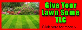 lawn Care Lawn Care