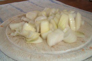 Chopped Onions Chopped Onions