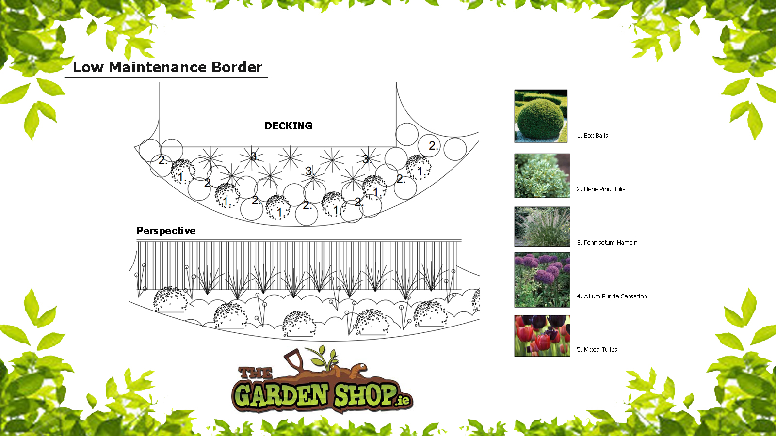 Low Maintenance Border Planting Plans & Design Ideas