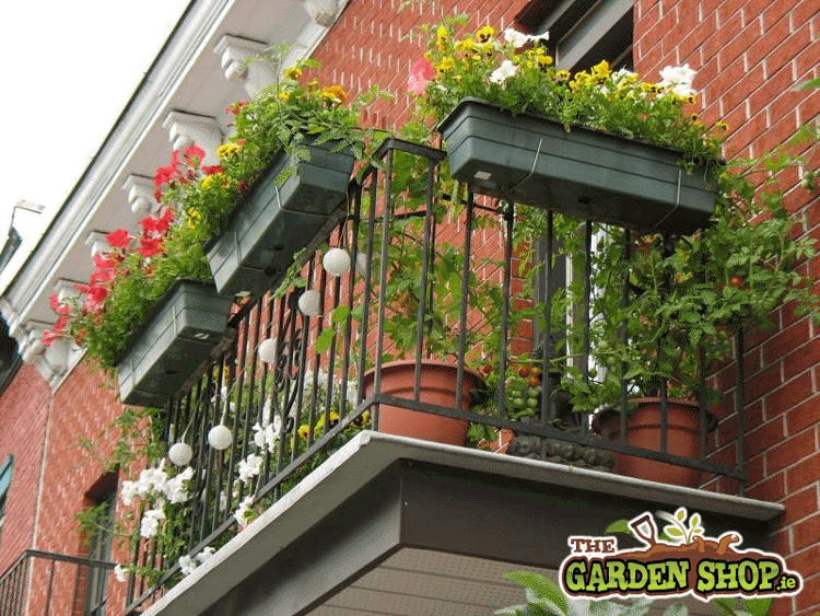 Balcony Gardening