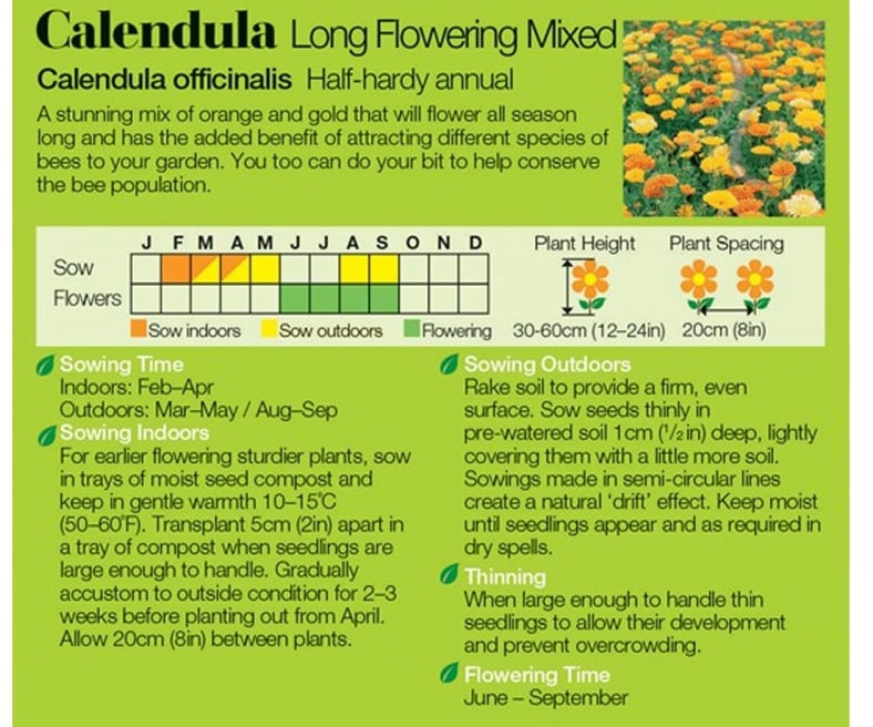 Calendula Seeds