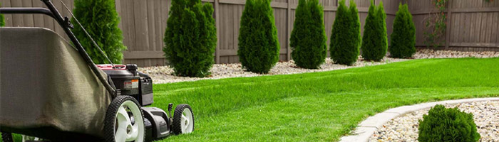 Lawn Care Advice & Tips