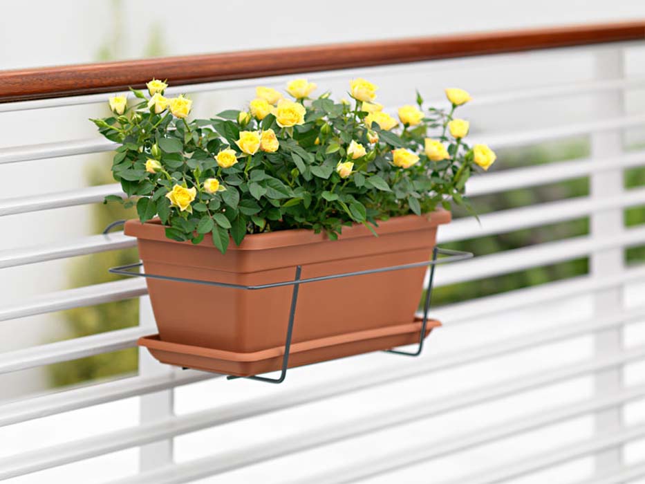 Buy Planters for Balconies & Apartments in Ireland at Best