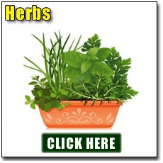 Growing Herbs