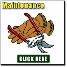 Garden Maintenance
