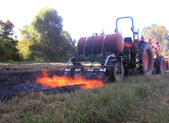 Organic Weed Control