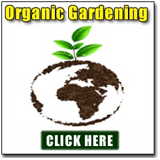 Organic Gardening