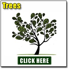Growing Trees