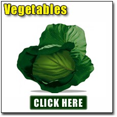 Growing Vegetables
