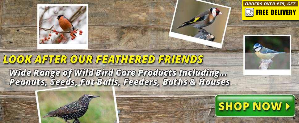 Wild Bird Care