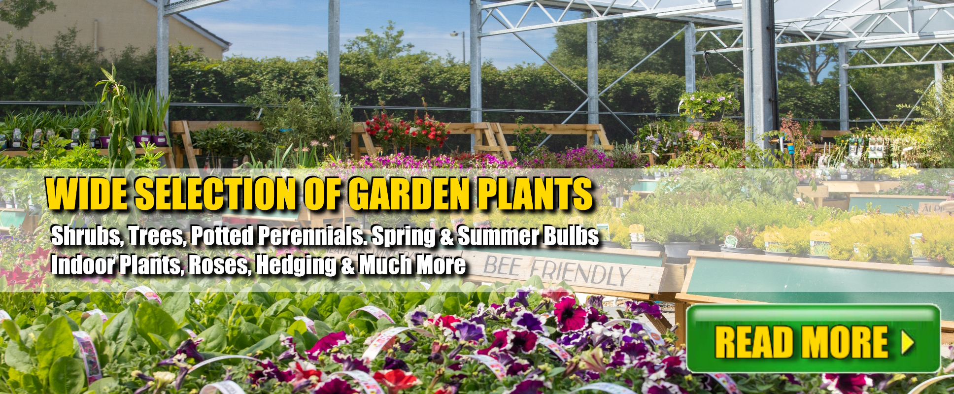 Garden Plants