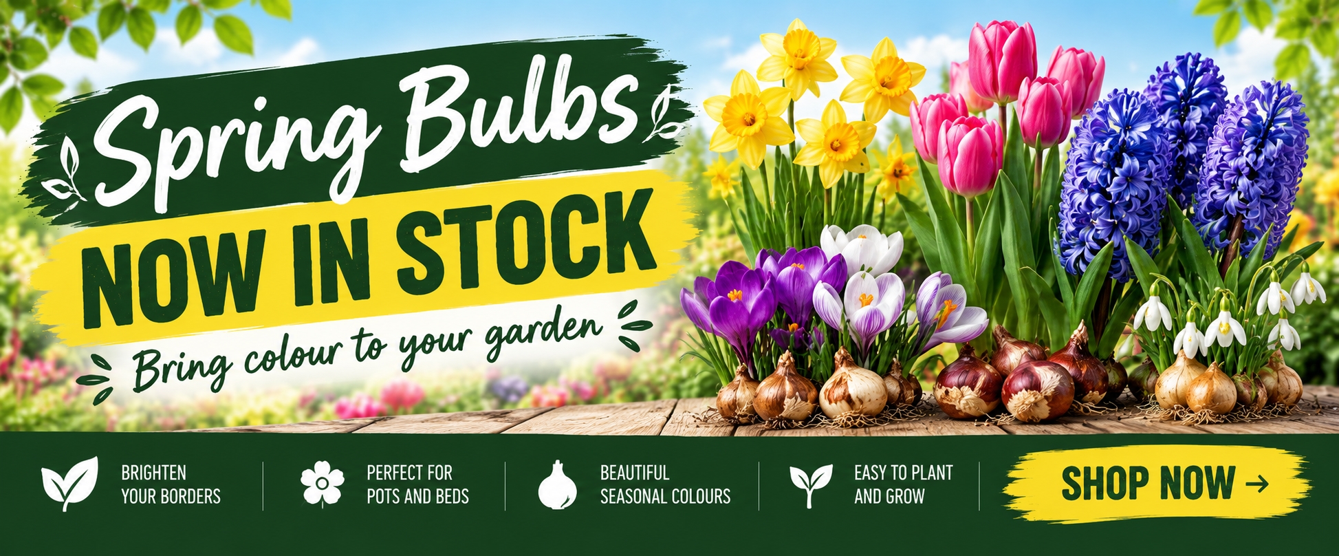 Spring Flowering Bulbs