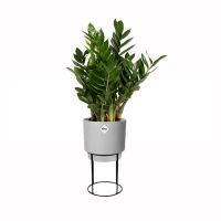 Indoor Plant Pot