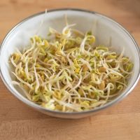 Sprouting Fenugreek Seeds