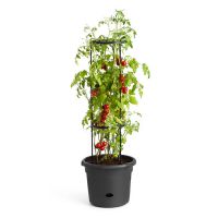 Tomato Grow Pot