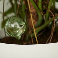 Watering Globes