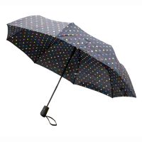 Compact Umbrella