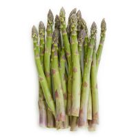 Asparagus Plants