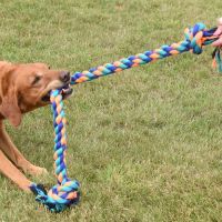Dog Tug Rope
