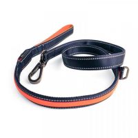 Reflective Dog Lead