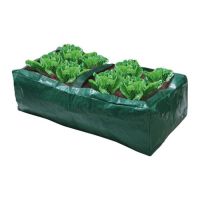Salad Grow Bag