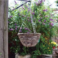 12 Inch Hanging Basket