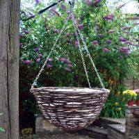 16 Inch Hanging Basket