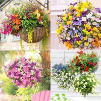 Rustic Hanging Basket Workshop