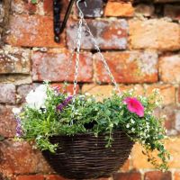 14 Inch Hanging Basket