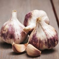 French Garlic