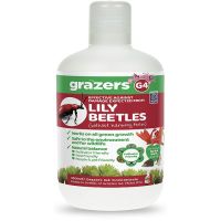 Lily Beetle Deterrent