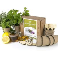 Medicinal Herbs Growing Kit