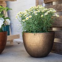 Garden Planters