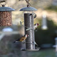 Spiral Njyer Bird Feeder