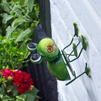 Frog Garden Decoration