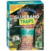 Insect trap