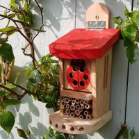 Ladybird House