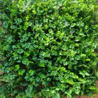 Artificial Hedge Panel