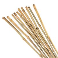 Bamboo Canes