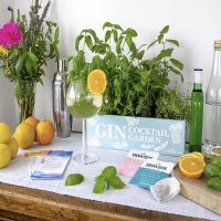 Gin Cocktail Herb Garden Kit