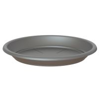 Anthracite Saucer