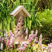 Ladybird Tower