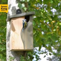 Cavity Nest Box