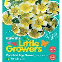 Pouched Egg Flower Seeds