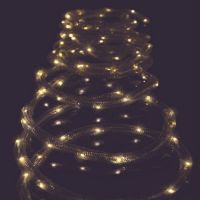 LED Rope Lights