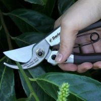 Compact Pruner