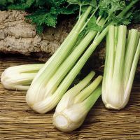 Celery Seeds